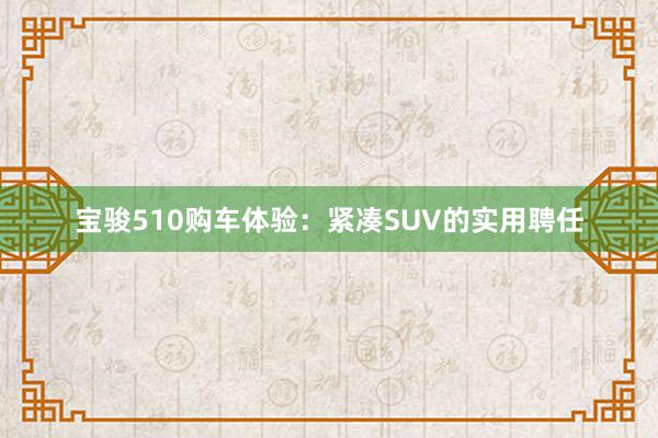 宝骏510购车体验：紧凑SUV的实用聘任